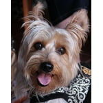 Image 3 of customer photos