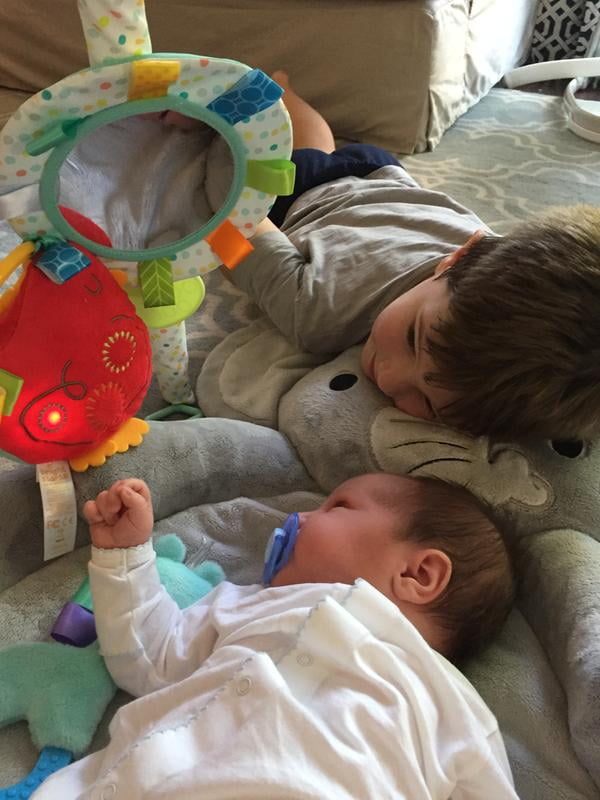 bright starts enchanted elephants activity gym