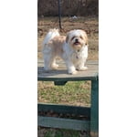 Image 4 of customer photos