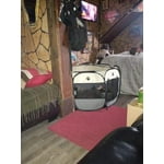 Image 4 of customer photos