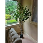 Image 2 of customer photos