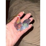 Image 2 of customer photos