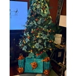 Image 6 of customer photos