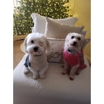 Image 4 of customer photos