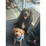 Image 5 of customer photos