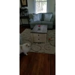 Image 2 of customer photos
