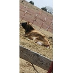 Image 2 of customer photos