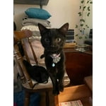 Image 1 of customer photos