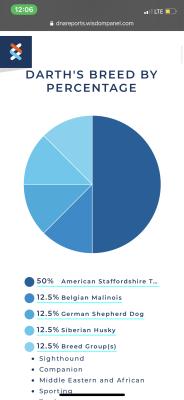 wisdom panel tracking