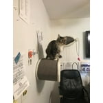 Image 2 of customer photos