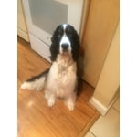 Image 2 of customer photos