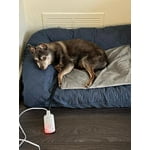 Image 2 of customer photos