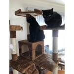 Image 6 of customer photos