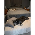 Image 9 of customer photos