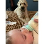 Image 5 of customer photos