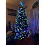 Image 4 of customer photos