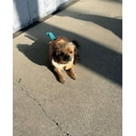 Image 5 of customer photos