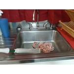 Image 6 of customer photos