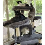 Image 6 of customer photos