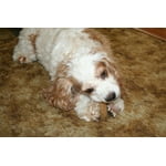 Image 5 of customer photos