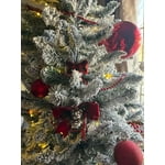 Image 6 of customer photos