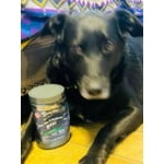 Image 2 of customer photos