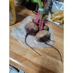 Image 7 of customer photos