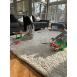 Image 5 of customer photos