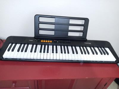 Casio Casiotone, 61-Key Portable Keyboard (CT-S100