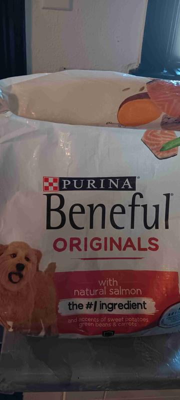 beneful salmon dog food review