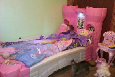 Step Two Princess Castle Bed, Princess Palace Twin Bed