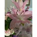Image 6 of customer photos