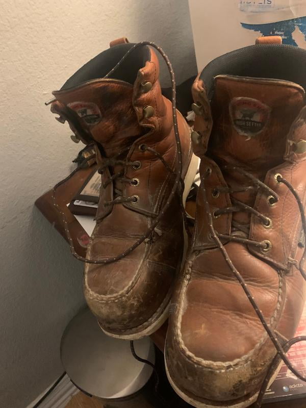 irish setter wingshooter 6 inch