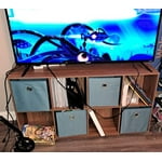 Image 2 of customer photos