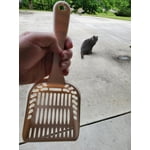 Image 1 of customer photos