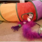 Image 6 of customer photos