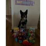 Image 7 of customer photos