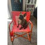 Image 5 of customer photos