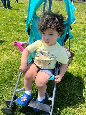 Customer reviews for Cosco Kids Comfort Height Toddler Umbrella Stroller  with Canopy, Donnie Dino | Walmart.com