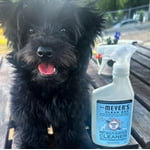 Image 2 of customer photos