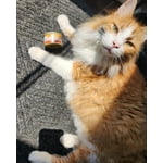 Image 4 of customer photos