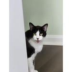 Image 3 of customer photos