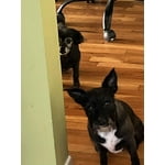 Image 6 of customer photos