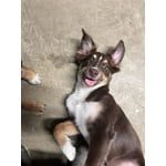 Image 2 of customer photos