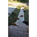 Image 6 of customer photos