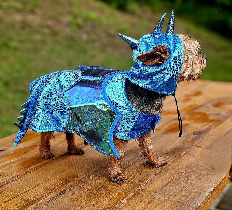 Large dog dragon costume hot sale
