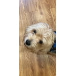 Image 7 of customer photos