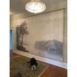 Image 3 of customer photos