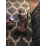 Image 4 of customer photos