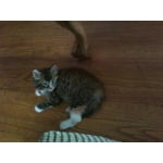 Image 7 of customer photos